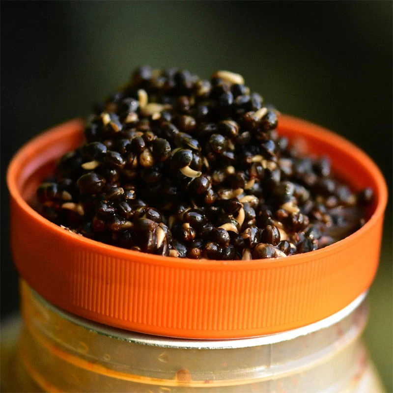 Dynamite Baits Frenzied Hempseed 2.5L Jar